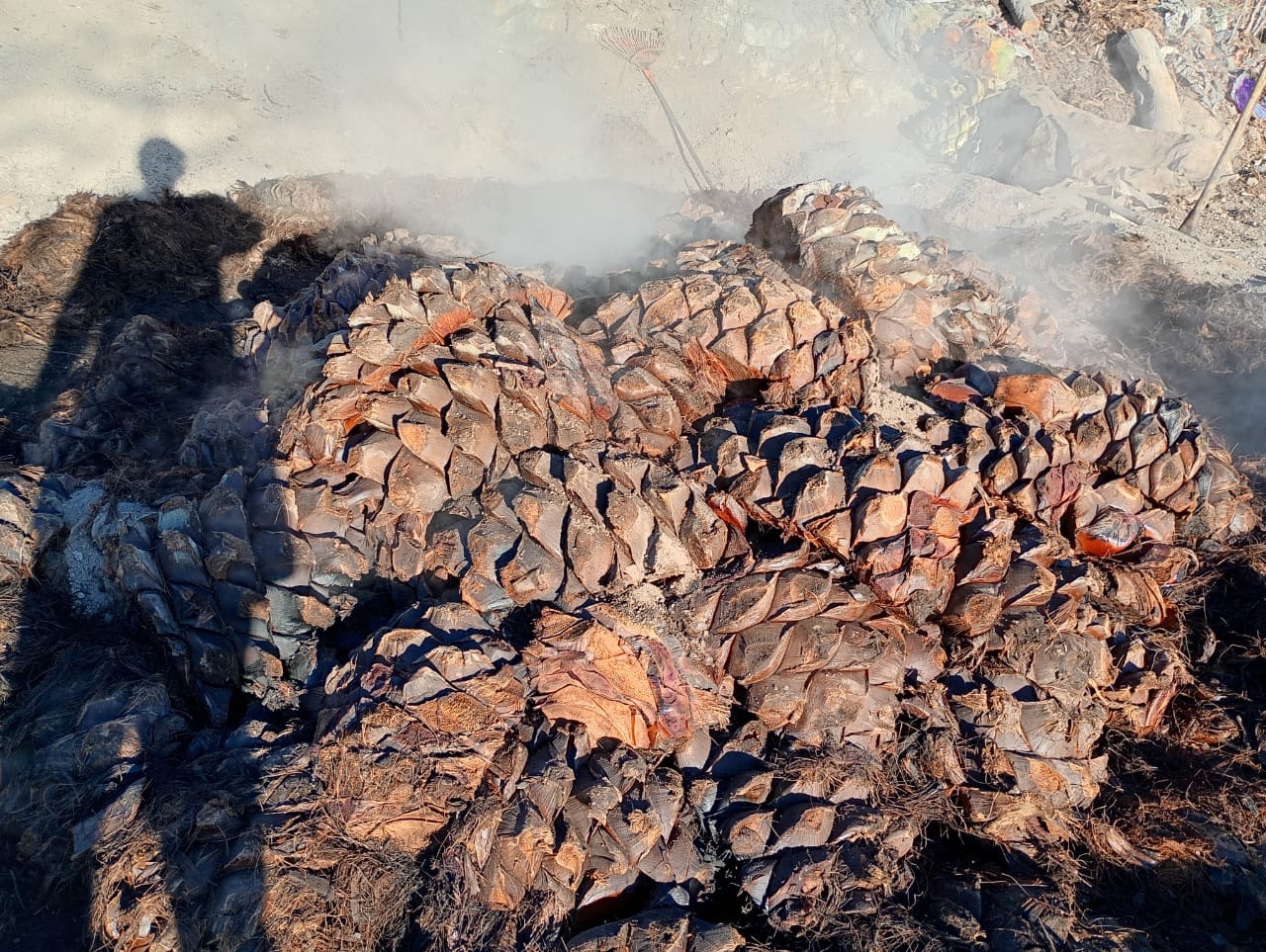 Proceso artesanal de Rancho el Coyote